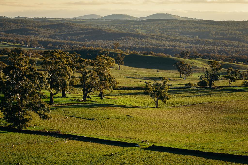 The Cottages At Hepburn Springs Esterno foto