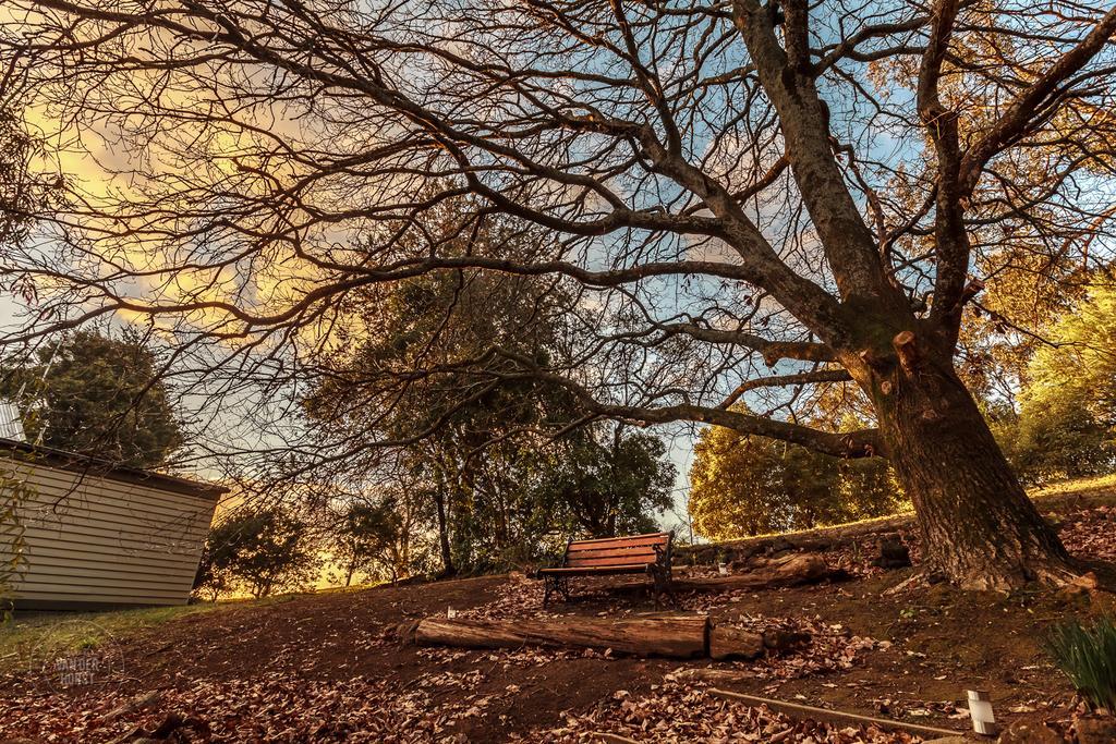 The Cottages At Hepburn Springs Esterno foto